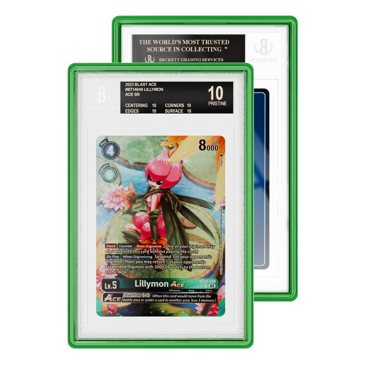 Jewel Case (BGS)