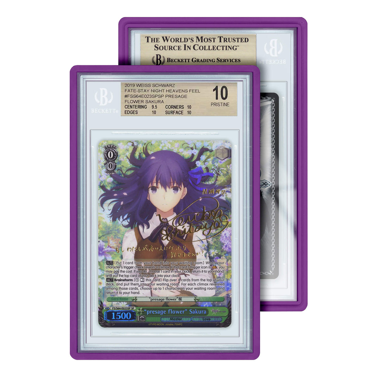 Standard Case (BGS)