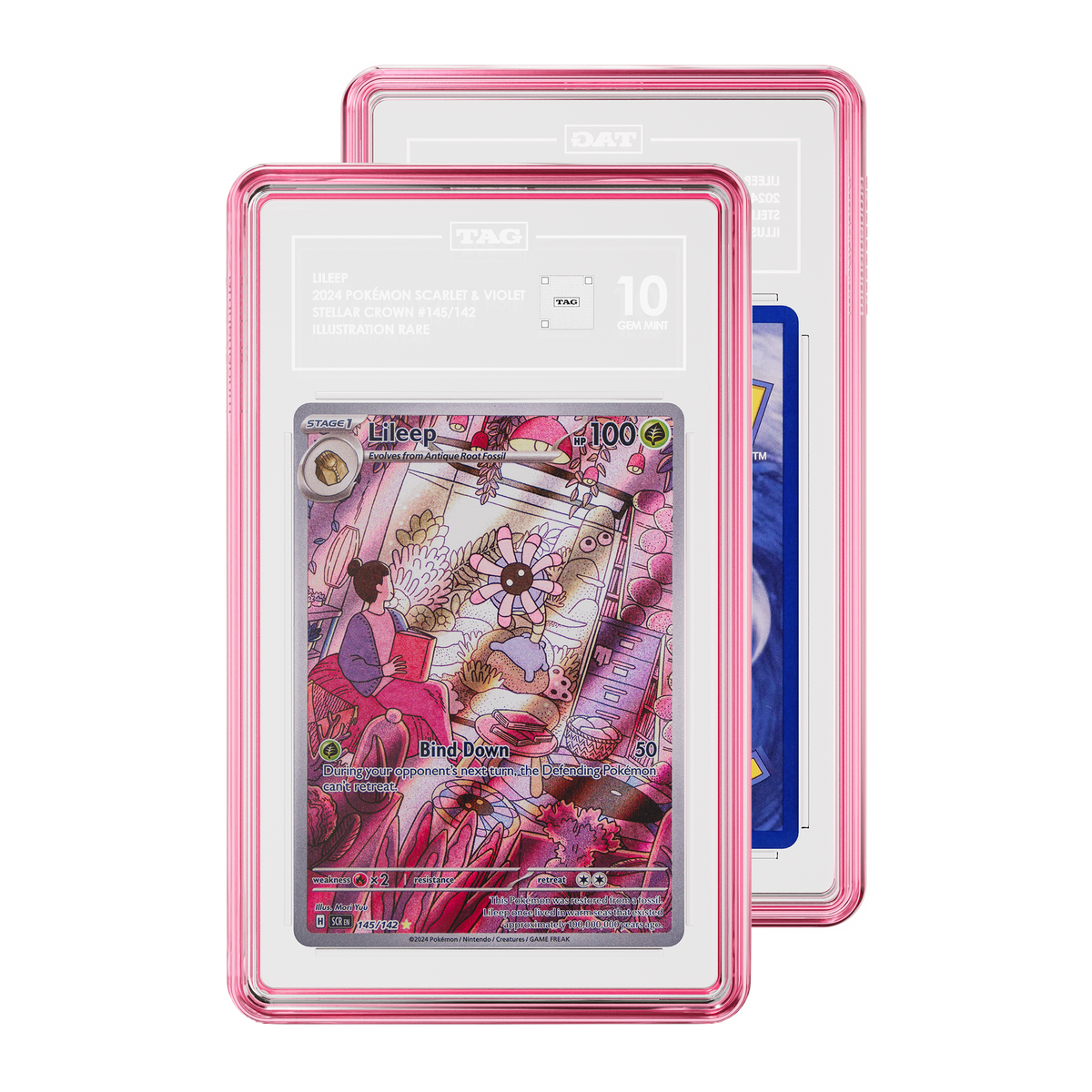 Jewel Case (TAG)