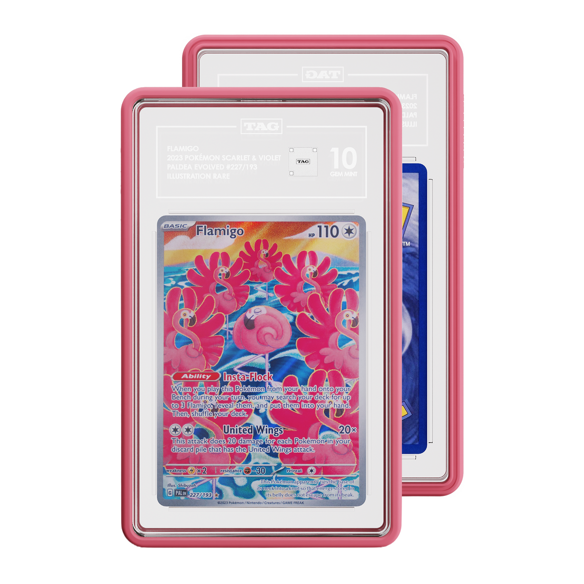 Standard Case (TAG)