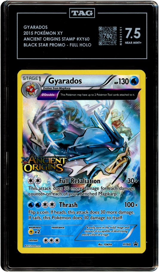 Gyarados - Pokemon XY Promos #XY60 TAG 7.5