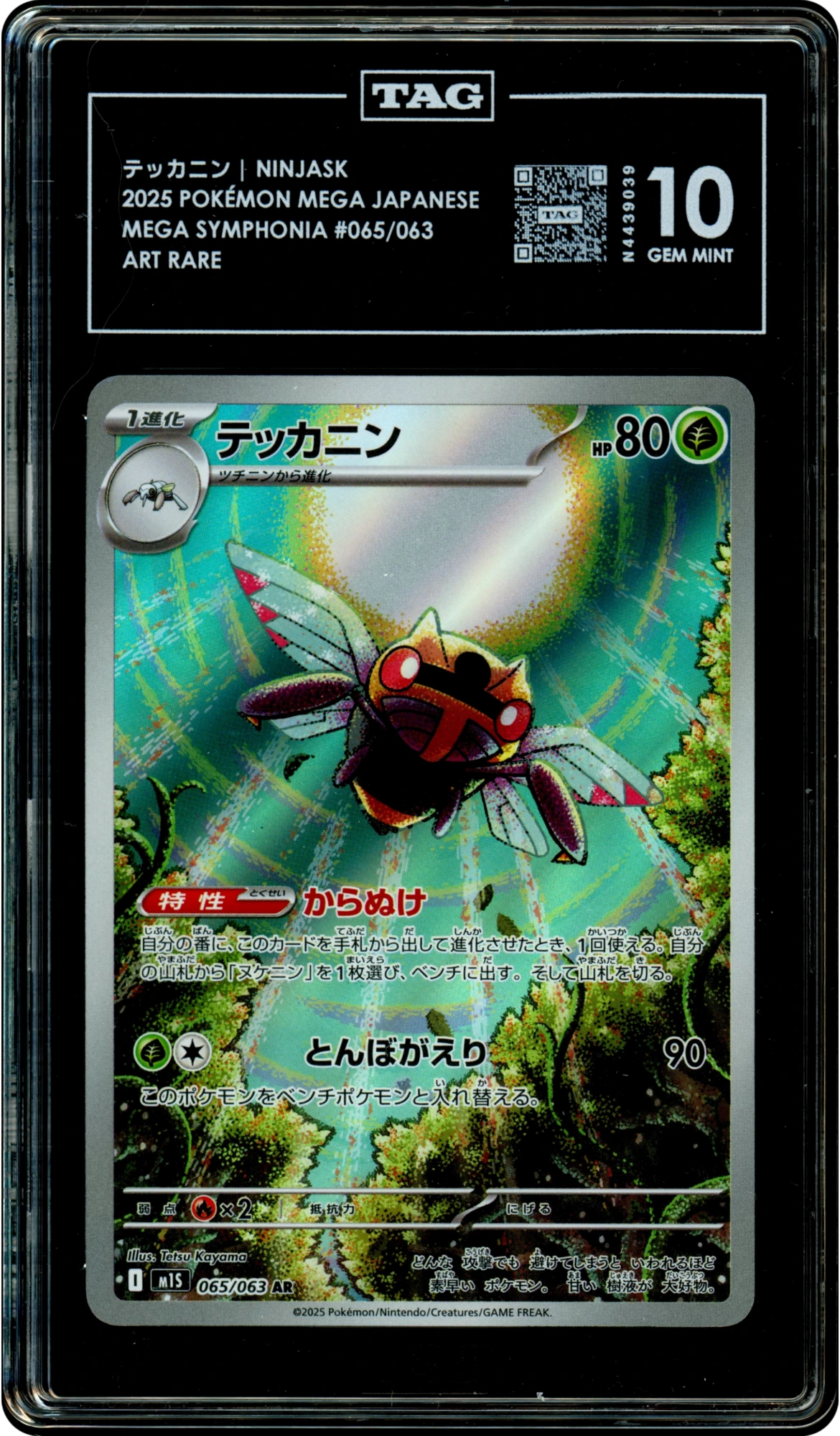 Ninjask - Pokemon Japanese Mega Symphonia #65 TAG 10