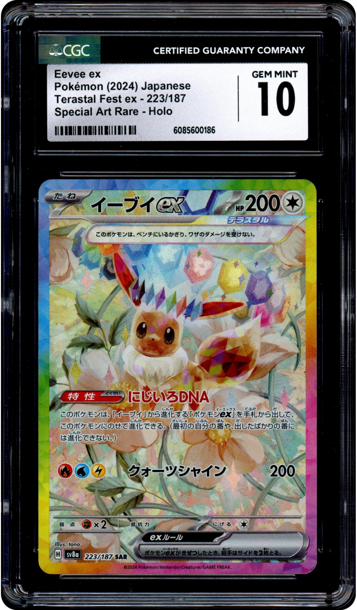 Eevee Ex - Pokemon Japanese Terastal Festival #223 CGC 10